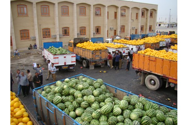 لابی «دیپلماسی» برای صادرات محصولات کشاورزی کرمان