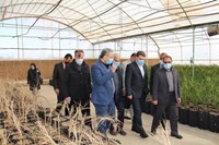 بازدید وزیر جهاد کشاورزی از مزارع هواپیمایی ماهان در شهداد و ارزوییه