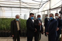 بازدید وزیر جهاد کشاورزی از مزارع هواپیمایی ماهان در شهداد و ارزوییه